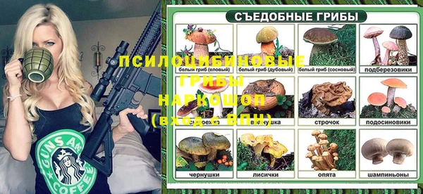 прущая мука Пересвет