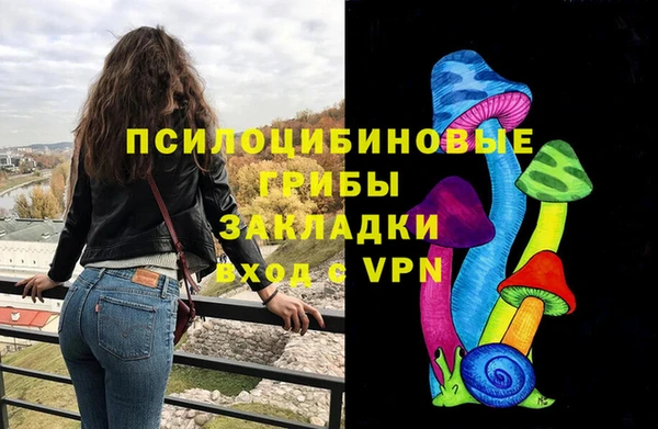твердый Абаза