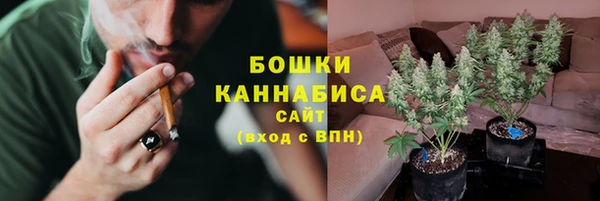 твердый Абаза
